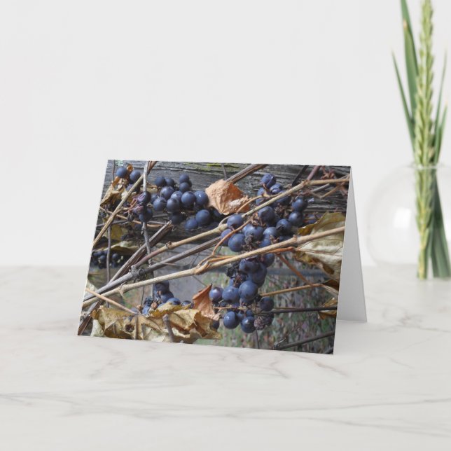 greeting card (Front)