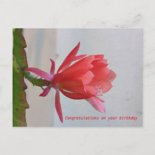 Greeting Card
