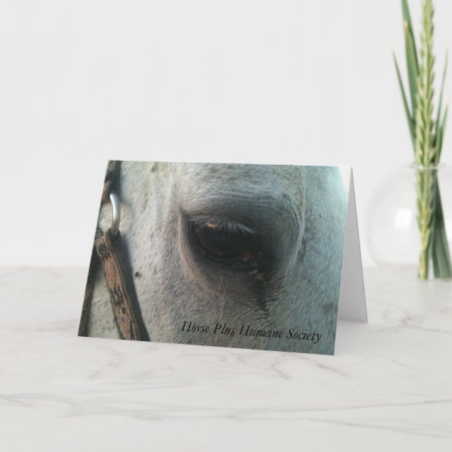 Greeting Card (Front)