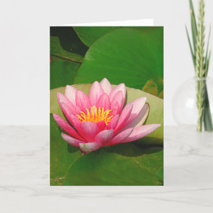 Greeting Card,"A PINK LOTUS FLOWER" Card