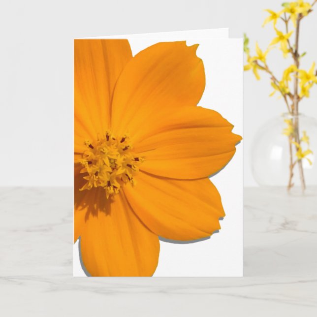 Greeting Card - All Occasion - Orange Cosmos (Yellow Flower)