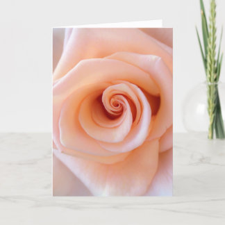 Greeting Card, blank inside Card