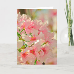 Greeting Card, blank inside Card