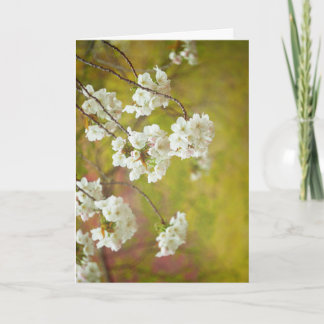 Greeting Card, Blank Inside Card