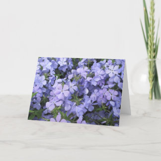 Greeting Card - Blue Phlox I