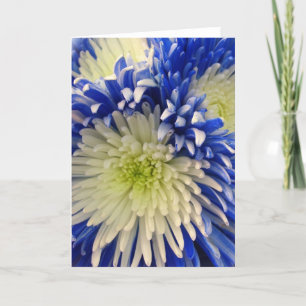 Greeting Card - Blue & White Spider Mums