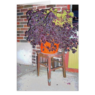 GREETING CARD: Chair in Linden Hills_Card