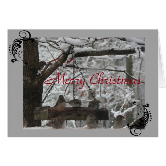 Greeting Card - Christmas - FeatheredFriends