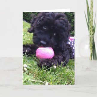 Greeting Card - Cockapoo Puppy