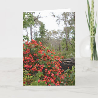 GREETING CARD - Coral creeper
