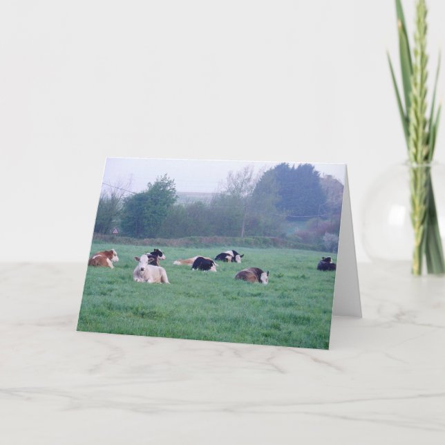 Greeting Card - Cows In Colour (Front)