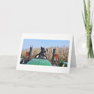 Greeting Card - Dog Driving Tractor