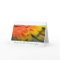 Greeting Card, Feather, Macaw Yellow