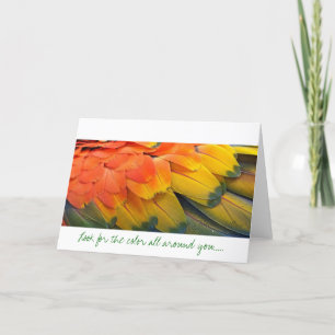 Greeting Card, Feather, Macaw Yellow Card