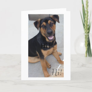 Greeting Card for Rescued Animal Lovers.