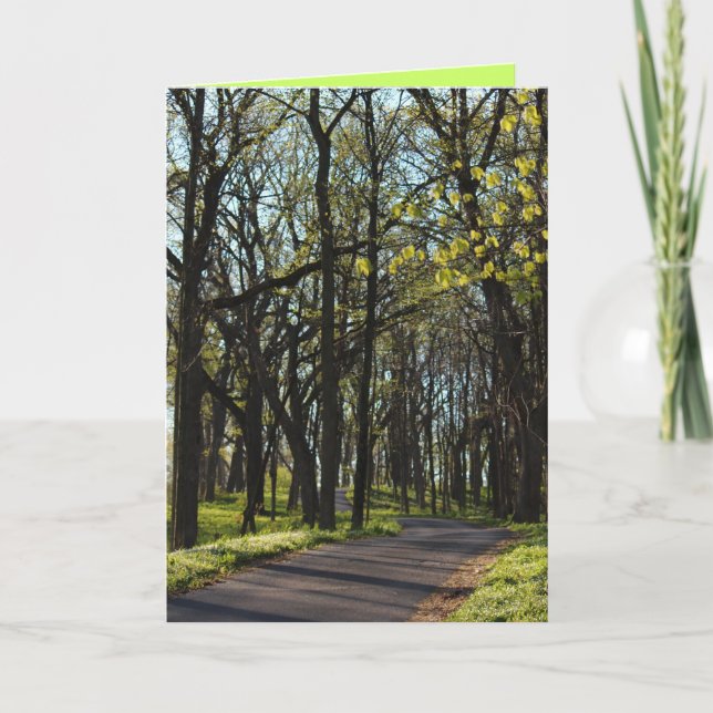 Greeting Card for Spring! (Front)