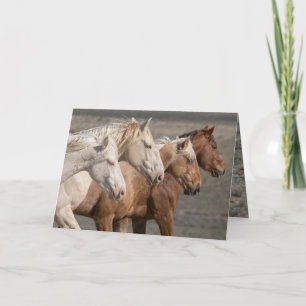 Greeting Card - Four Wild Bachelors Run