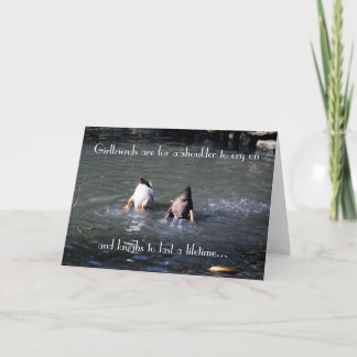 Greeting Card - Friendship Humour