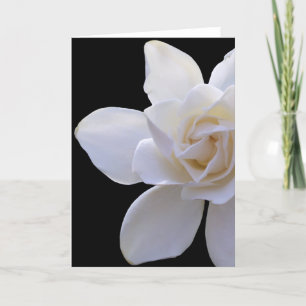 Greeting Card - Gardenia on Black