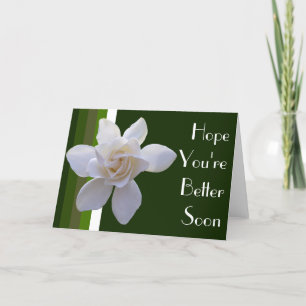Greeting Card - Gardenia on Stripes