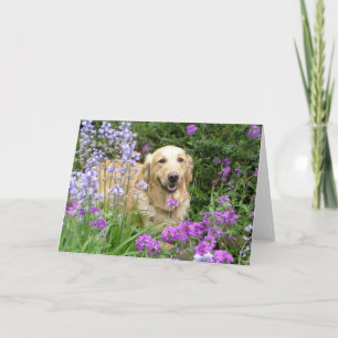 Greeting Card Golden Retriever in Flowers