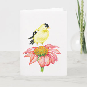 Greeting Card Goldfinch & Coneflower