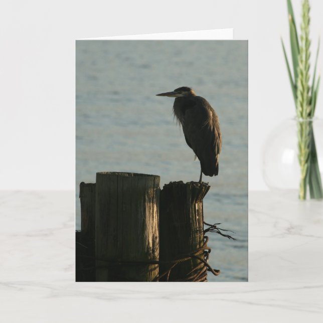 Greeting Card:  Great Blue Heron Card (Front)