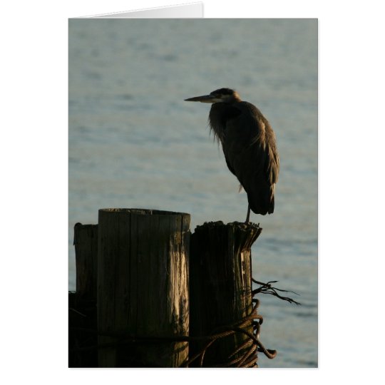 Greeting Card: Great Blue Heron Card