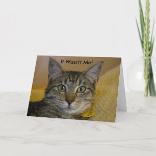Greeting Card: It Wasn't Me Cat 2 Card