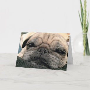 Greeting Card: Itsy Pug/Miss your face Card