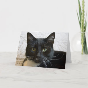 Greeting Card: Lilly Card