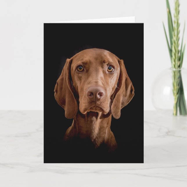Greeting Card  "Magyar Vizsla" (Front)