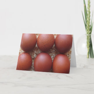 Greeting Card - Marans Chicken Eggs