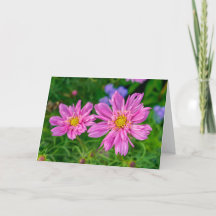 Greeting Card - Marginal Way Garden