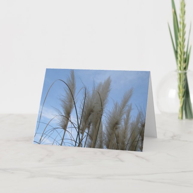 Greeting Card - Pampas Grass (Front)