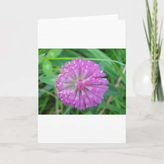 Greeting card pink cloverblossom