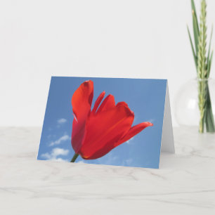 Greeting Card - Red Tulip Blue Sky