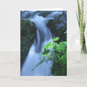 Greeting Card: Sol Duc Falls Card