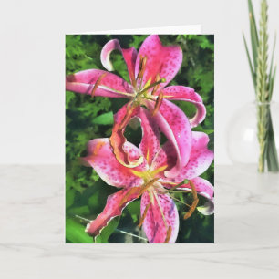 Greeting Card Stargazer Lilies