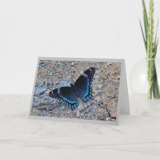 Greeting Card - Swallowtail Butterfly