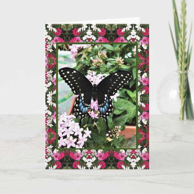 Greeting Card Swallowtail & Cosmos (Front)
