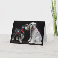 Greeting Card Two Schnauzers Whispering
