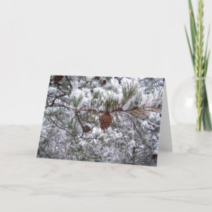 Greeting Card - Winter Pine