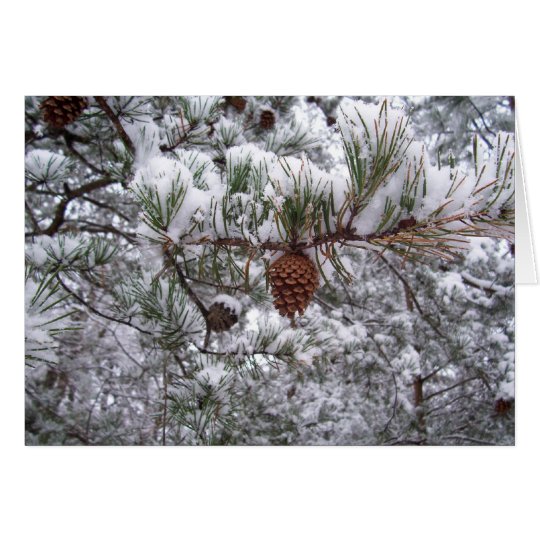 Greeting Card - Winter Pine