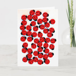 GREETING CARD WITH A LADY BUGS