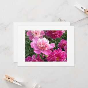 Greeting card with beautiful peonies