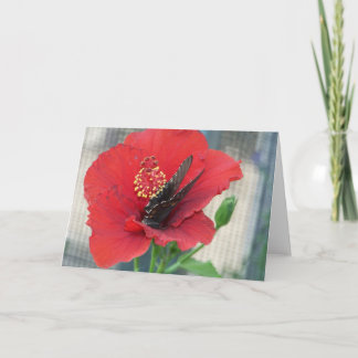 greeting card with butterfly on red flower