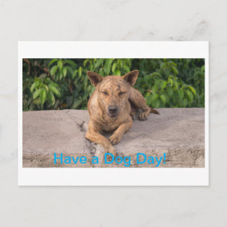 Greeting Card with Dog Theme