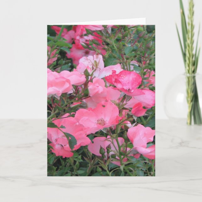 Greeting Card with Pink Roses (Front)