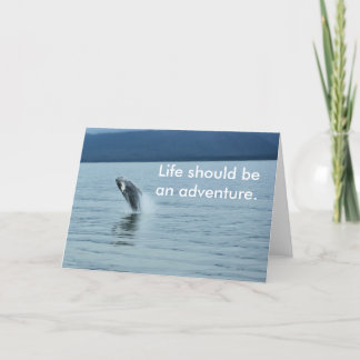 Greeting card - write your own note